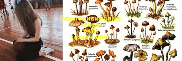 молекула духа Абдулино