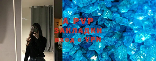шишки Аркадак