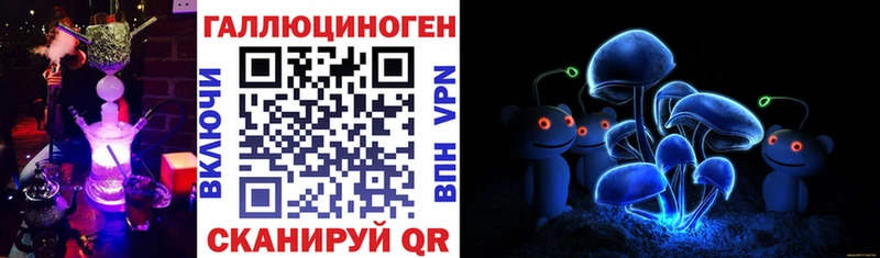 Псилоцибиновые грибы мицелий Вологда