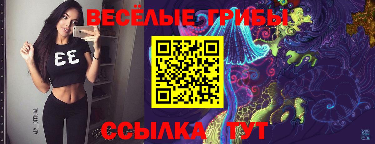 Вологда  Галлюциногенные грибы MAGIC MUSHROOMS  Вход с VPN 